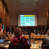 Raad Bomen 2017